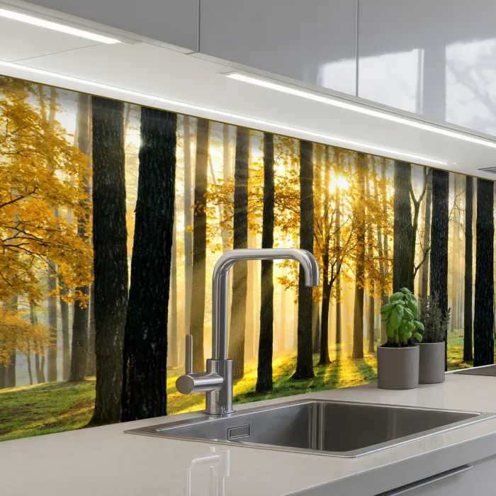Bos - Zon - Bomen - Gras - Landschap  - Natuur keuken achterwand 2 middel -3d_schuin