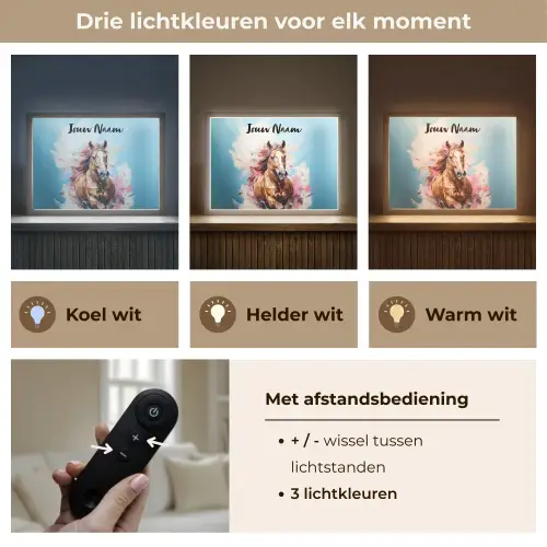 Paard - Meisjes - Blauw - Roze Light Box met batterij (Wandlamp kind) middel -USP_lichtkleurNL
