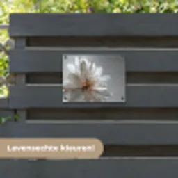 Bloem - Wit - Neutraal tuinposter los doek klein -sfeer3