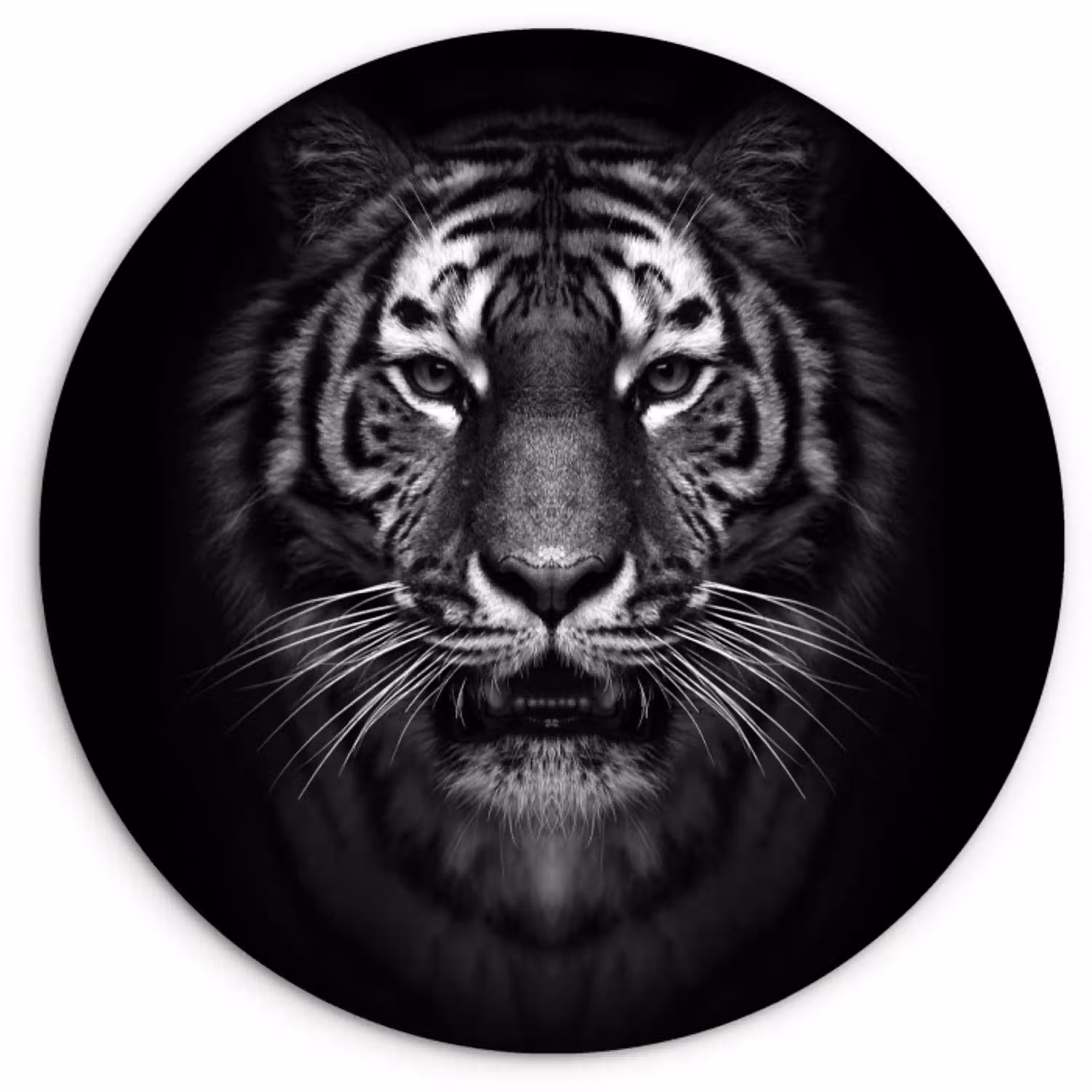 Tijger - Dieren - Zwart - Wit - Portret - Wild Wandcirkel kunststof plaat 5mm dik klein -3d