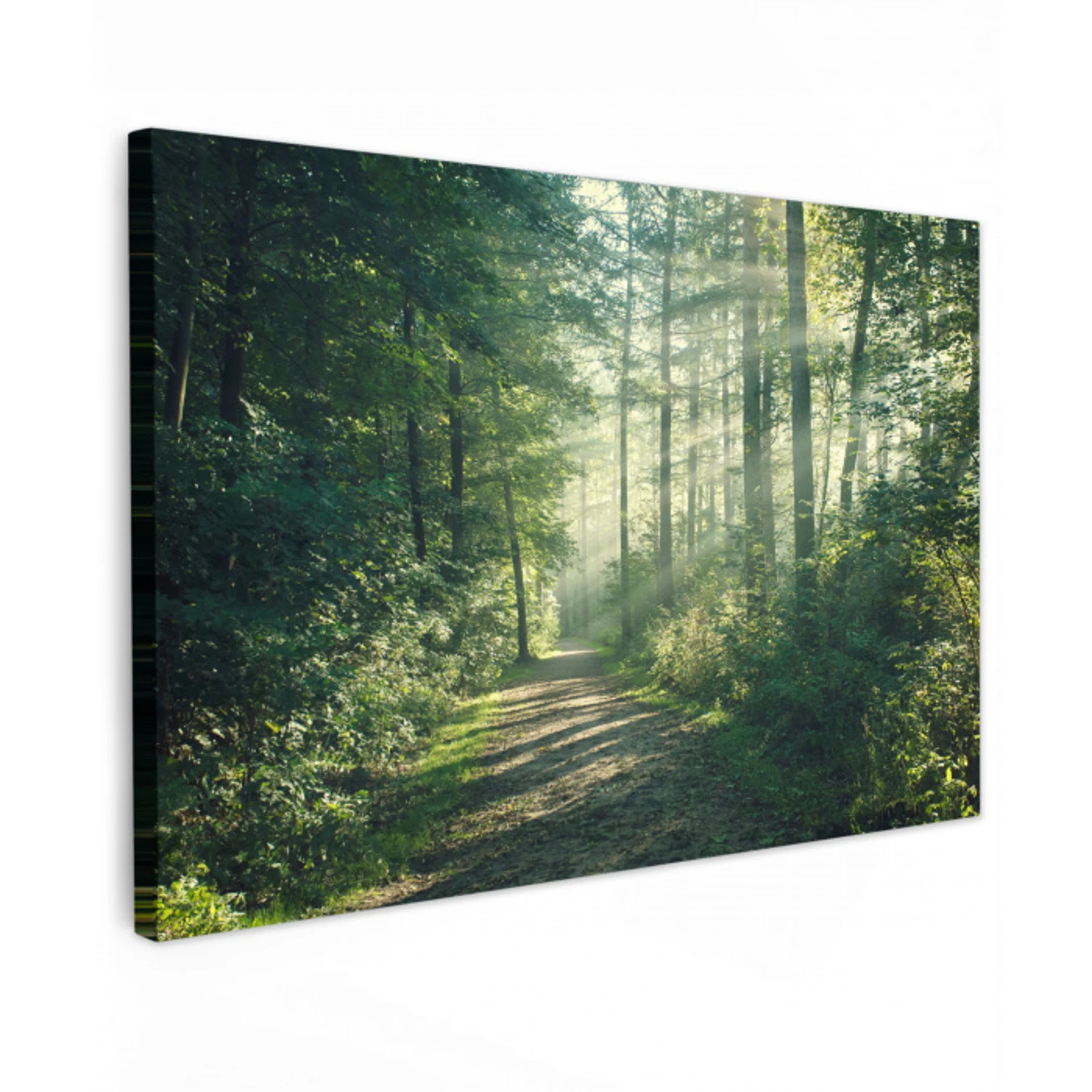 Bos - Pad - Zon - Bomen - Groen - Natuur canvas 2cm klein -z3d