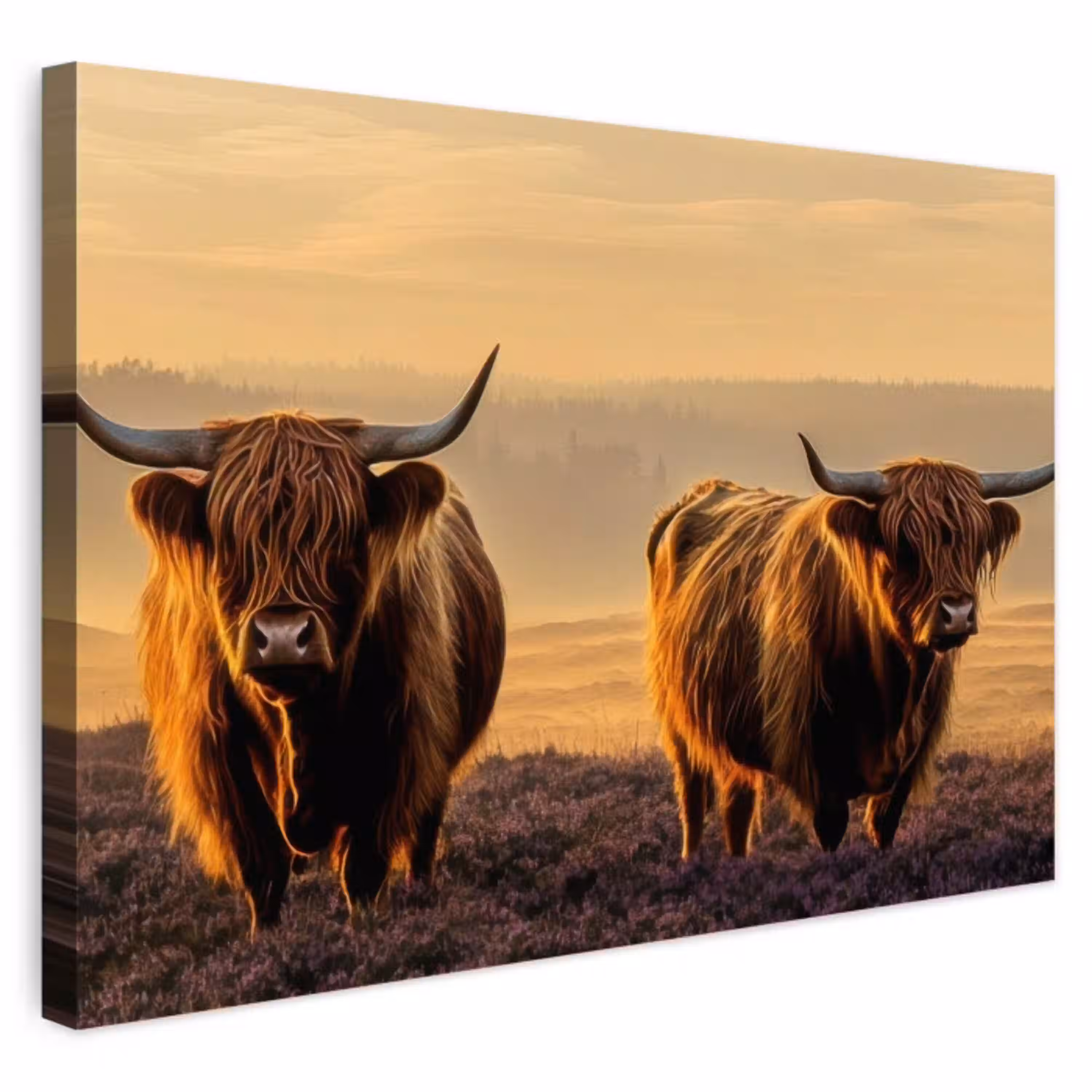 Schotse hooglanders - Heide - Landschap - Dieren Tuinposter op houten frame 2 cm dik klein -3d