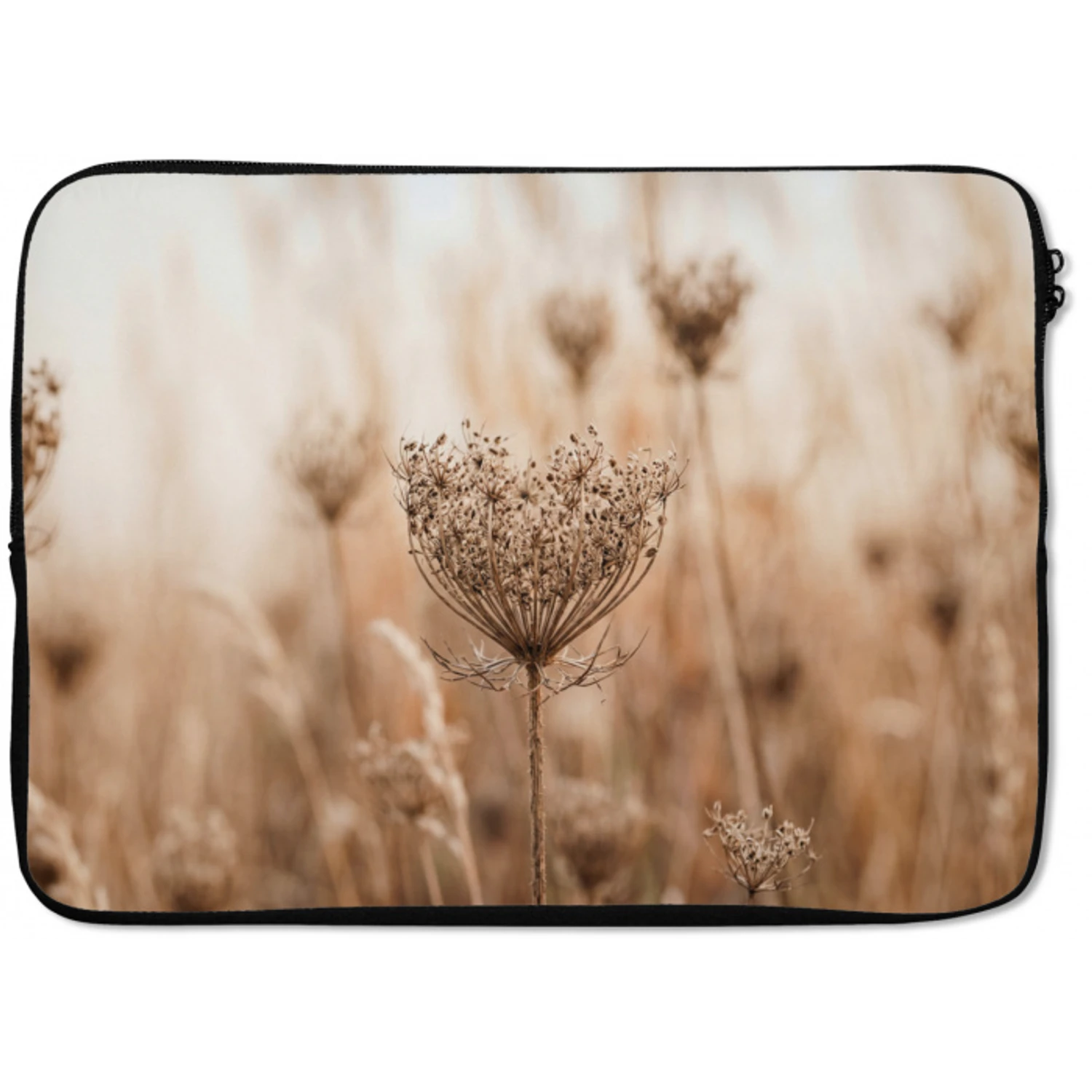 Schermbloem - Droogbloem - Winter - Beige - Minimalistisch laptophoes neopreen klein -zkaufland3dotto