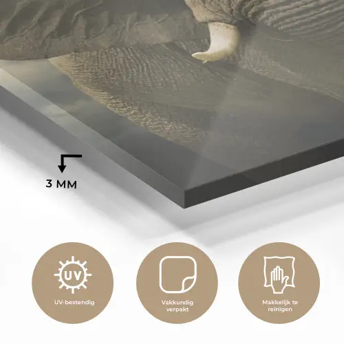 Afrikaanse olifant tegen de donkere wolken plexiglas 5mm klein -sfeer2