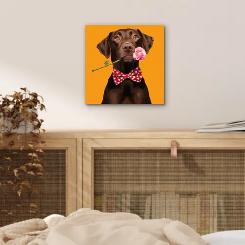 Hond - Oranje - Roos - Valentijn aluminium wit klein -sfeer3