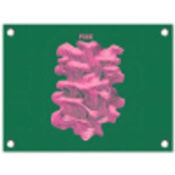 Abstract - Pink - Lijnen - Groen tuinposter los doek klein -3d