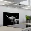 Schotse Hooglander - Koe - Zwart - Wit - Dieren keuken achterwand spatscherm klein -3d_schuin