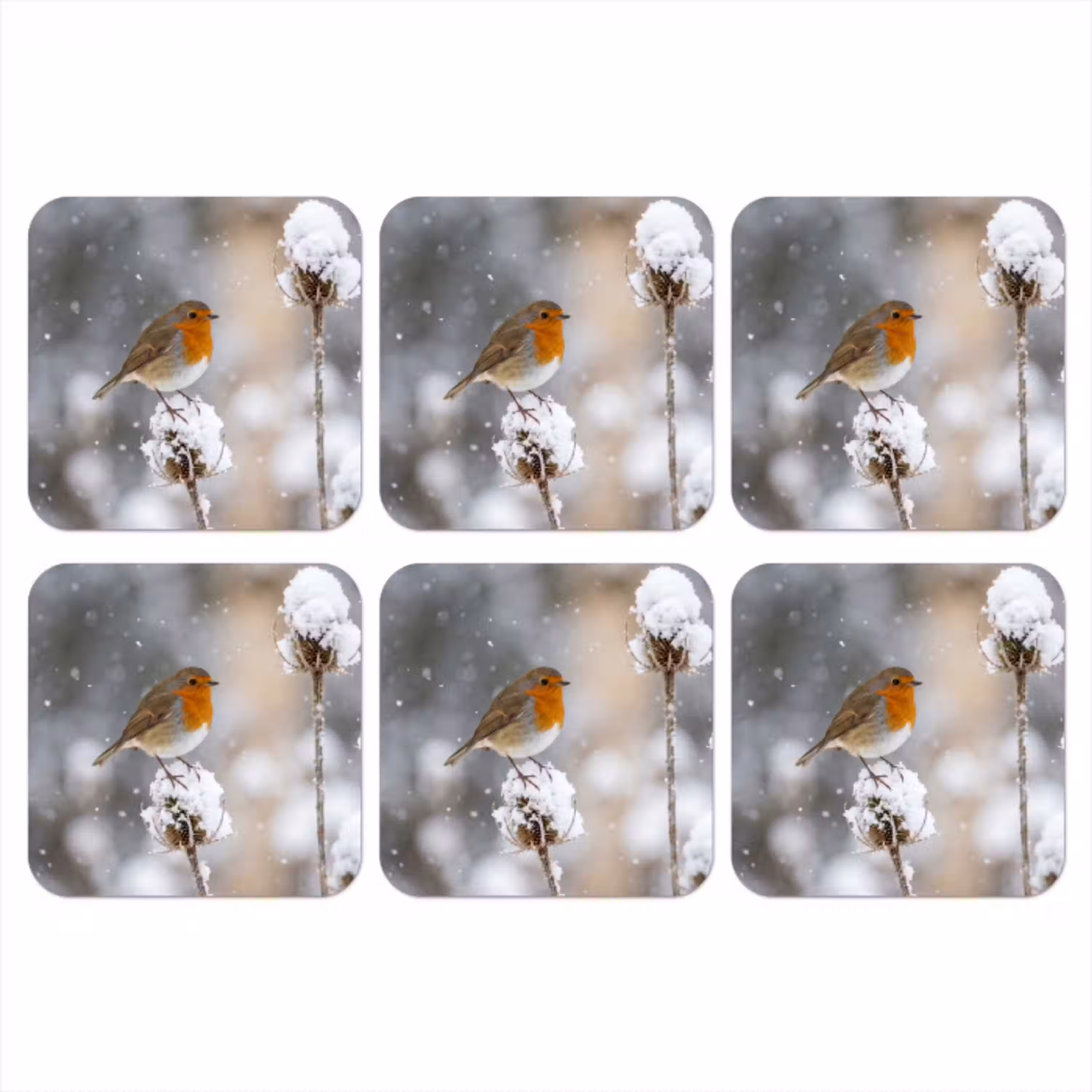 Roodborstje - Gedroogde bloem - Sneeuw - Winter - Vertederend onderzetter kurk middel -3d
