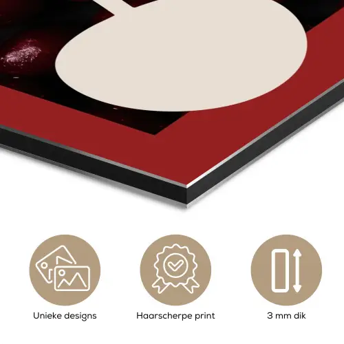 Kersen - Illustratie - Rood aluminium wit klein -closeup_NL