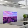 Lavendel - Paars - Bloemen - Natuur keuken achterwand spatscherm klein -3d_schuin