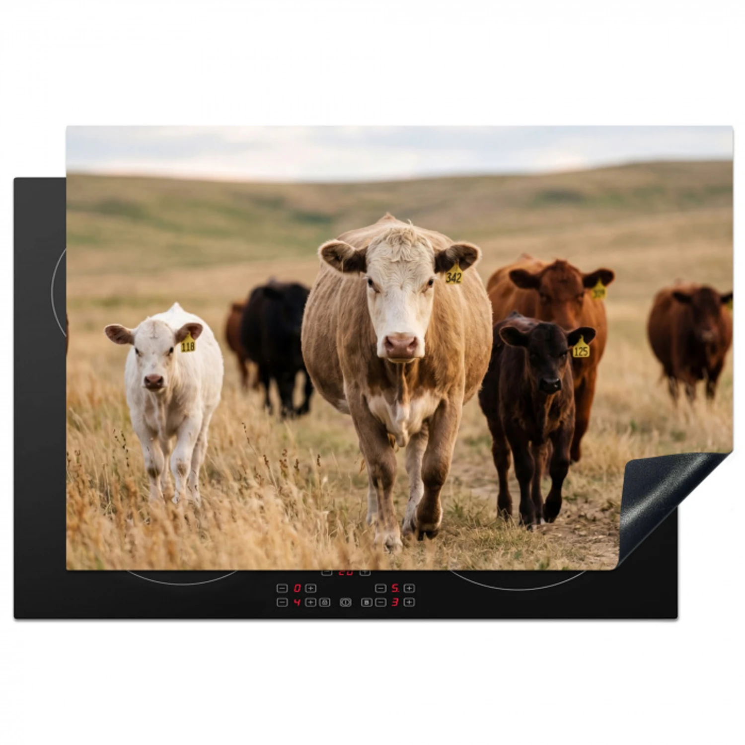 Runderen - Kudde - Landschap - Weide - Rustig Inductie beschermer vinyl 3mm klein -3d