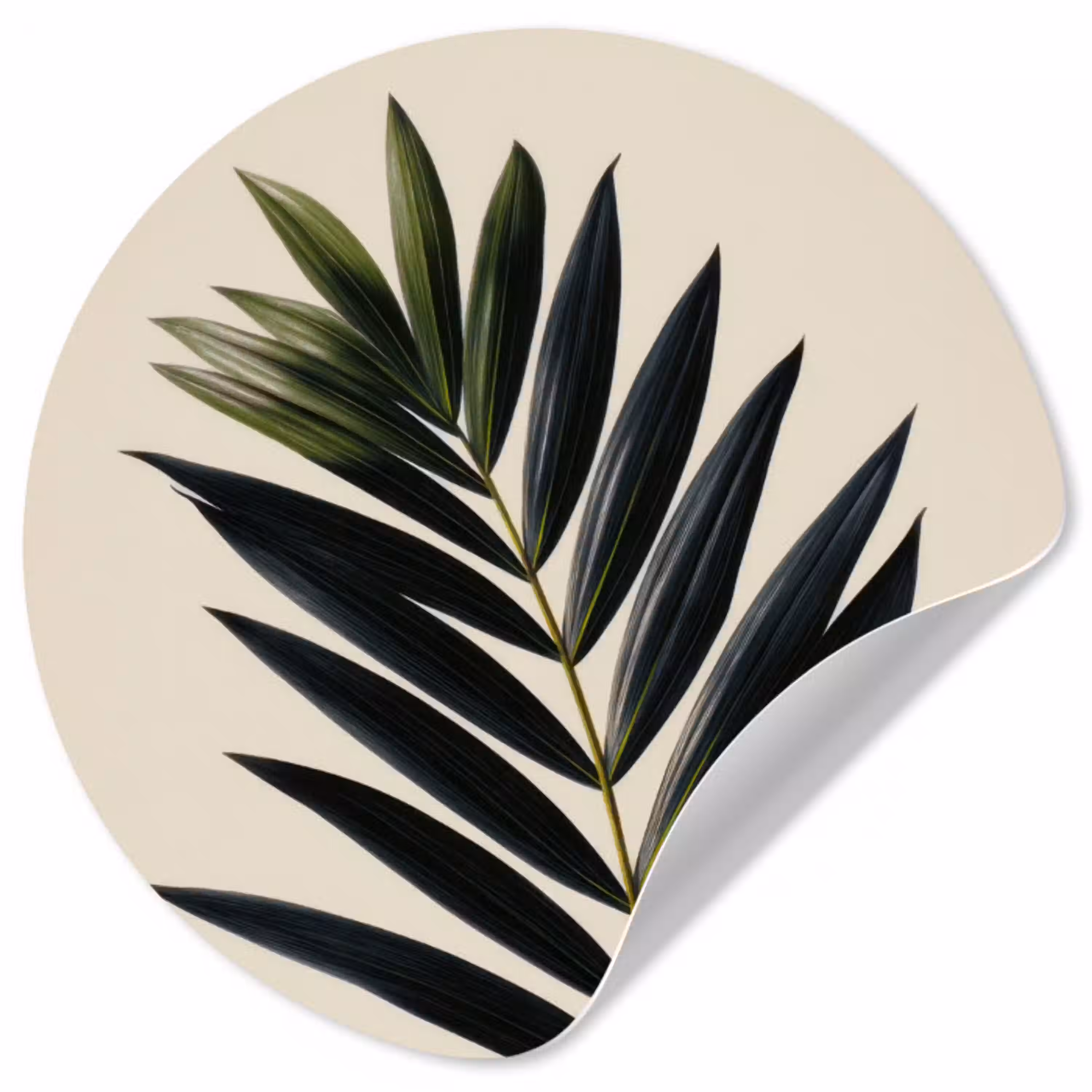 Palmblad - Donkere bladen - Subtiel Wandcirkel behangsticker klein -3d