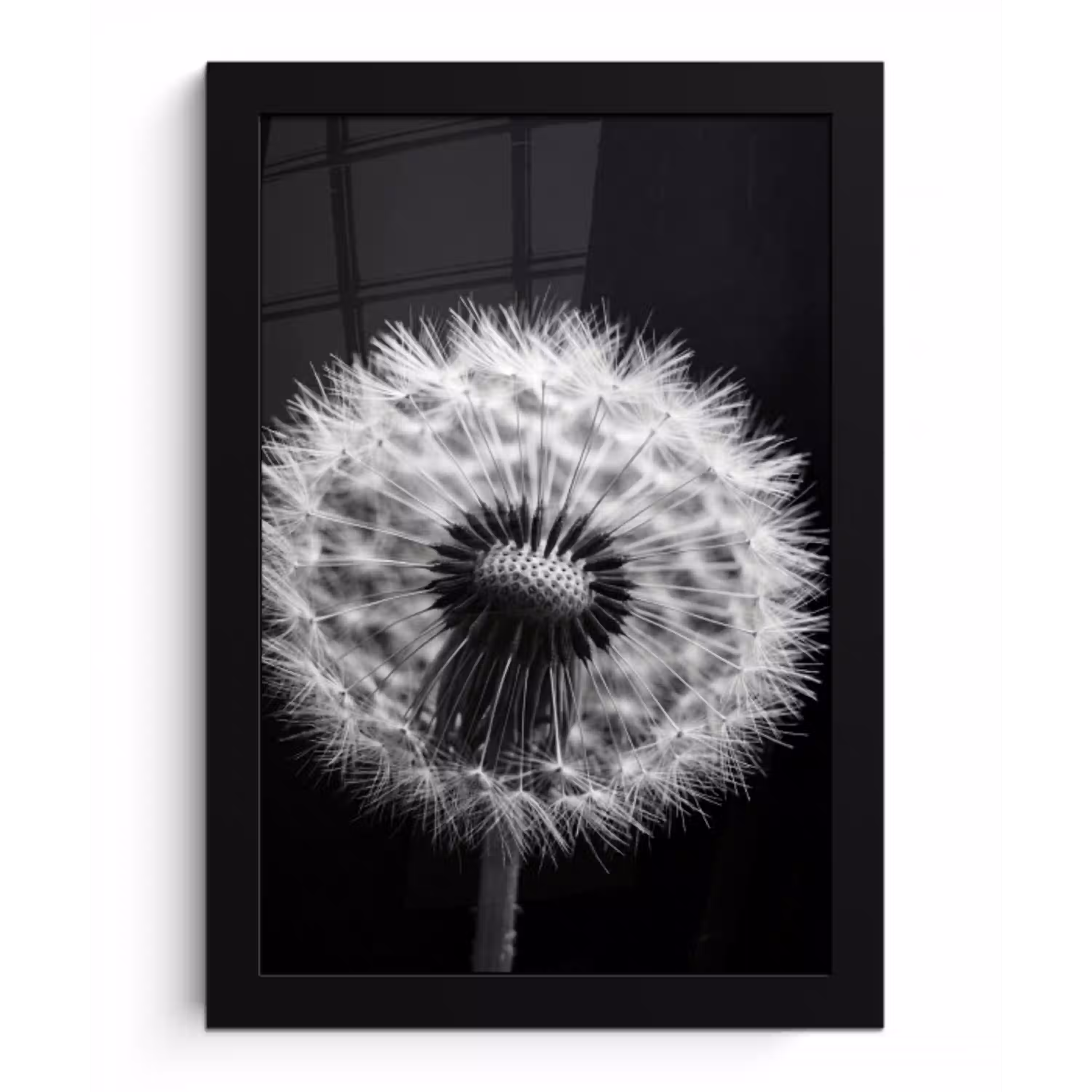 Paardenbloem - Zwart - Wit fotolijst zwart zonder passe partout klein -3d