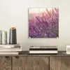 Lavendel - Paars - Zonlicht plexiglas 5mm klein -sfeer1
