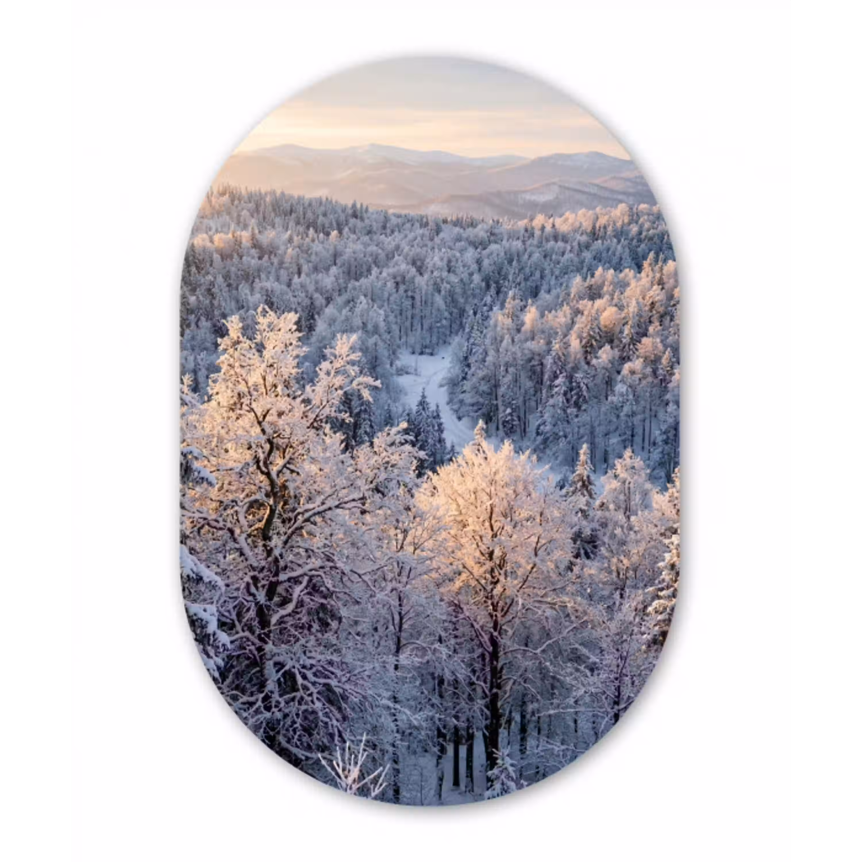Bos - Bergen - Goud - Winter - Warm Wandcirkel Ovaal Aluminium middel -3d