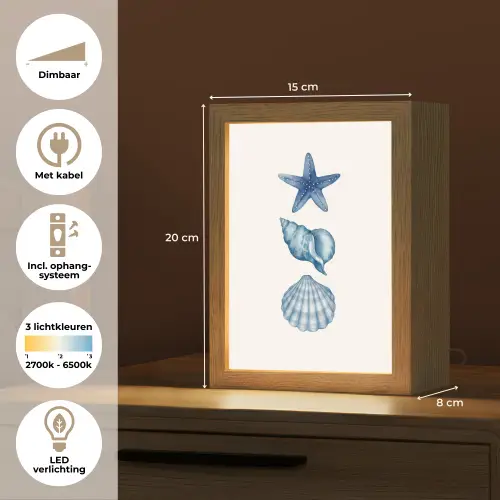 Zeester - Schelpen - Blauw Light Box met kabel (Tafellamp) klein -USP_NL