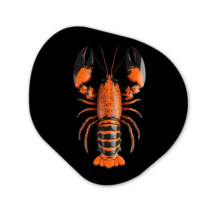 Kreeft - Oranje - Zwart - Modern Wandcirkel Organisch Aluminium middel -3d