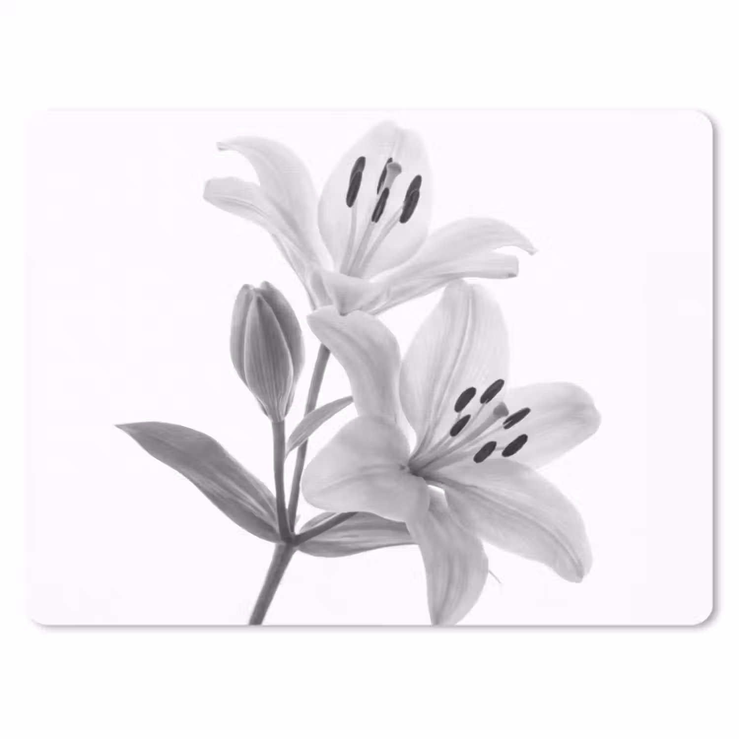 Muismat - Lelies - Elegant - Zwart - Wit
