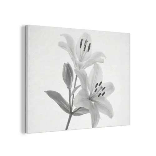 Lelies - Elegant - Zwart - Wit PET vilt klein -3d