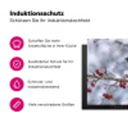 Pestvogel - Bessen - Winter - Natuur Inductie beschermer vinyl 3mm klein -zzzzzzz-lf-ups