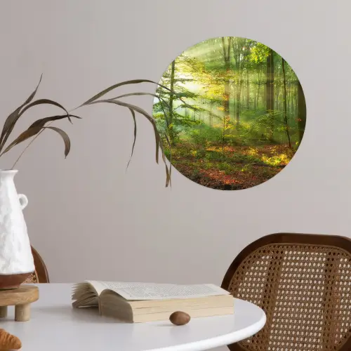 Zon - Bos - Bomen - Natuur - Herfst Wandcirkel behangsticker klein -sfeer3