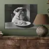Hond - Bulldog - Pasta - Bril - Stoer - Dieren PET vilt klein -sfeer2