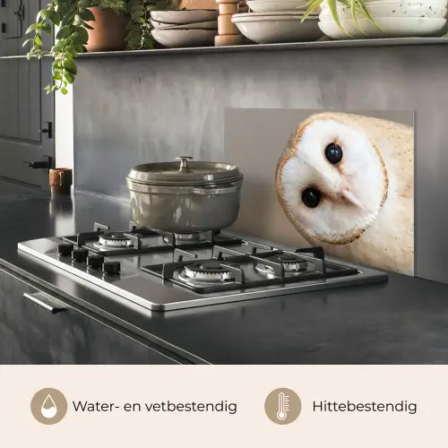 Uil - Bruin - Wit keuken achterwand spatscherm klein -usp_NL