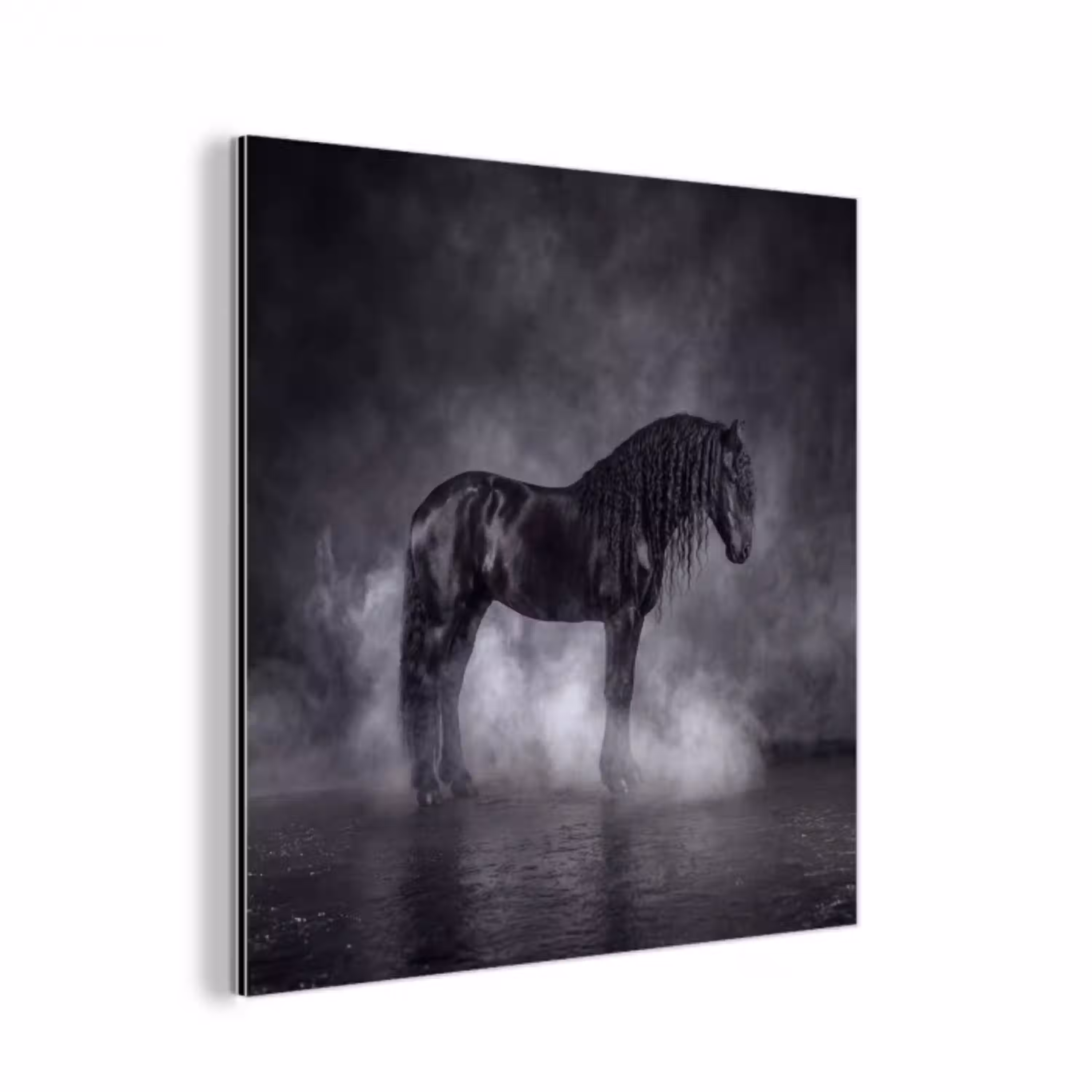 Paard - Magisch - Zwart aluminium wit klein -3d