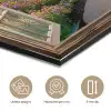Doorkijk - Bloemen - Natuur - Zon - Pad aluminium wit klein -closeup_NL