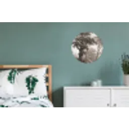 Natuur - Bos - Eik Wandcirkel aluminium klein -slaapkamer