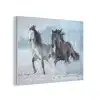 Paarden - Winter - Dieren - Natuur - Sneeuw PET vilt klein -3d
