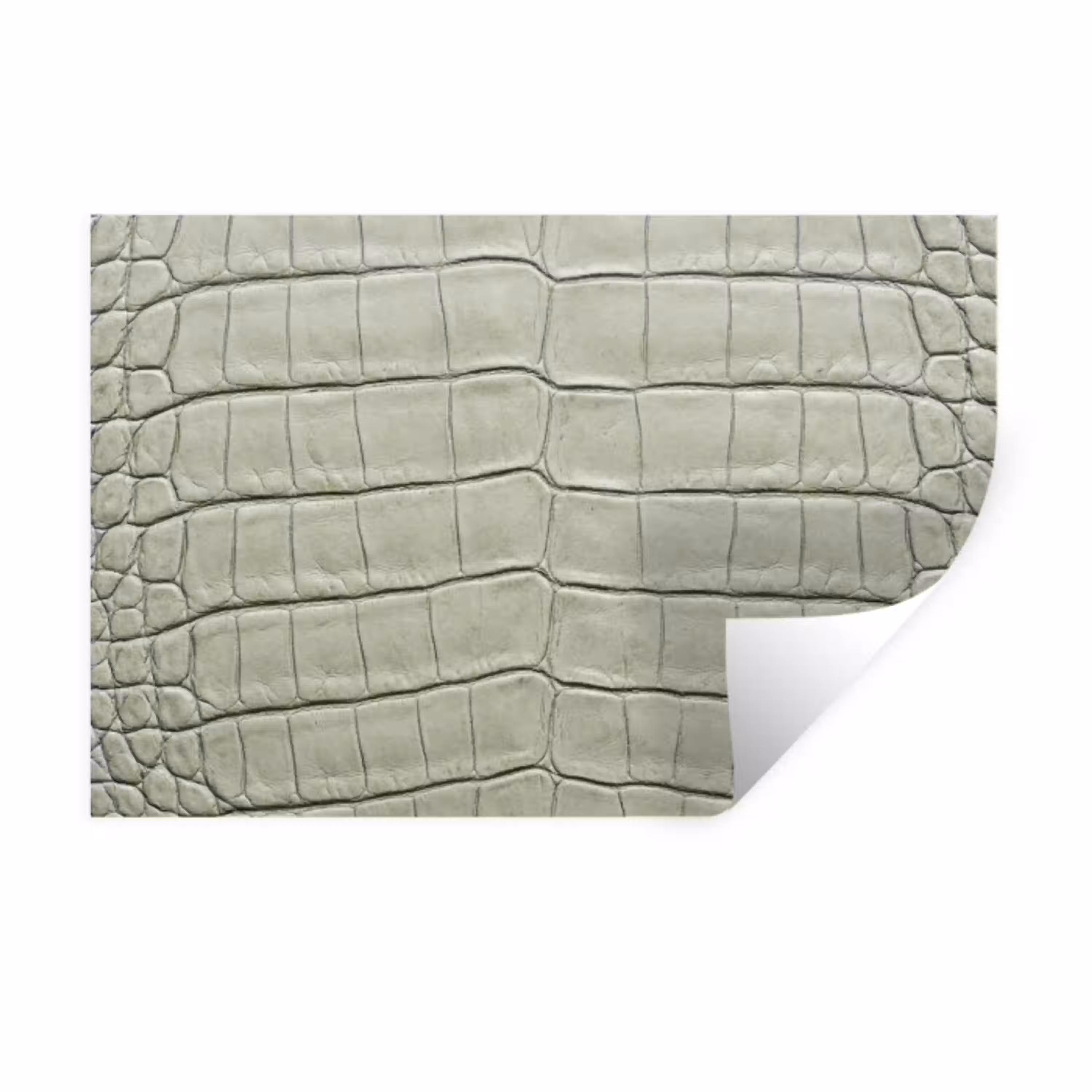 Krokodillenleer - Schubben - Groen Muursticker klein -3d