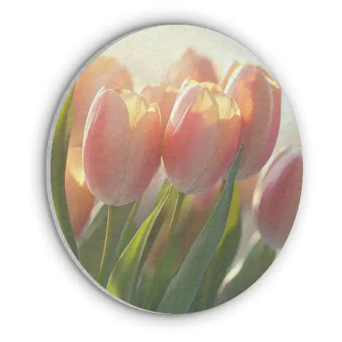 Tulpen - Roze - Zonnestralen Akoestische PET Vilt - Rond klein -3d