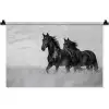 Paarden - Gras - Zwart - Wit Wandkleed katoen klein -zz3d