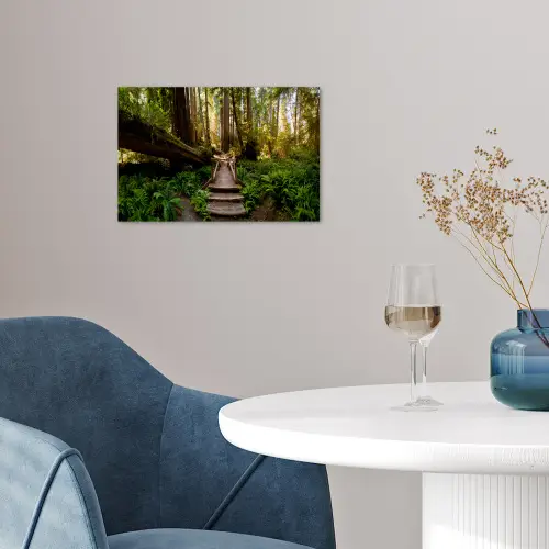 Jungle - Natuur - Trap - Bomen poster papier klein -sfeer3