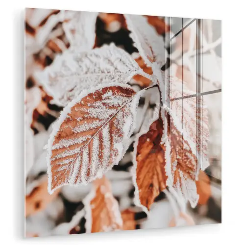 Bladeren - IJs - Winter - Natuur plexiglas 5mm klein -zzzproduct_nieuw