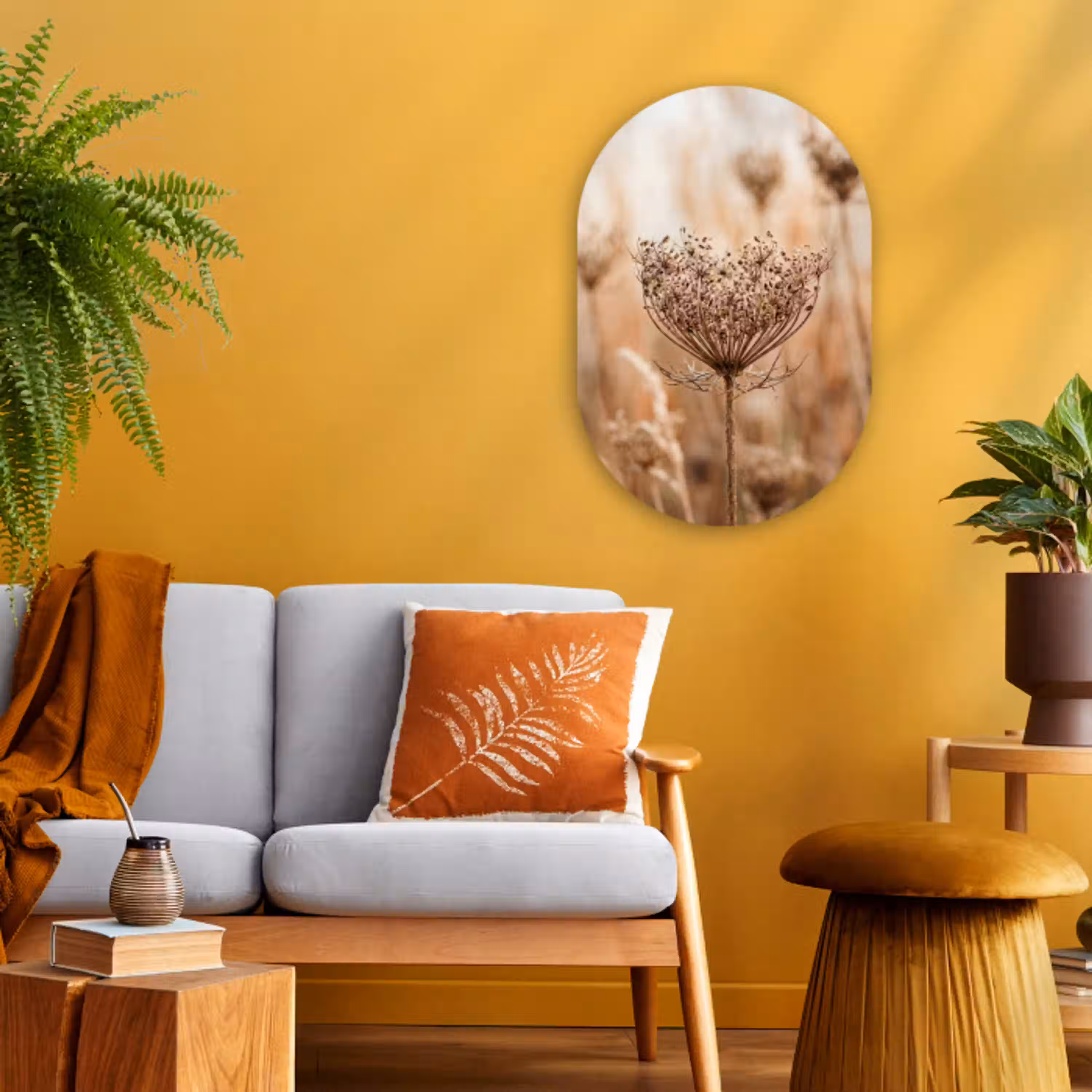 Schermbloem - Droogbloem - Winter - Beige - Minimalistisch Wandcirkel Ovaal Forex klein -sfeer4