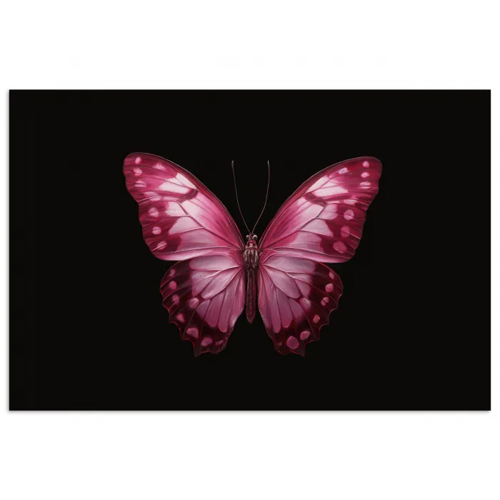 Vlinder - Fuchsia - Grafisch poster papier klein -3d