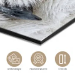 Sneeuwuil - Oog - Wildlife - Wit aluminium wit klein -closeup_NL