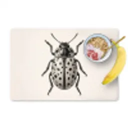 Kever - Insect - Vintage Placemat vinyl groot -zzzproduct_Kitchenyeah-website