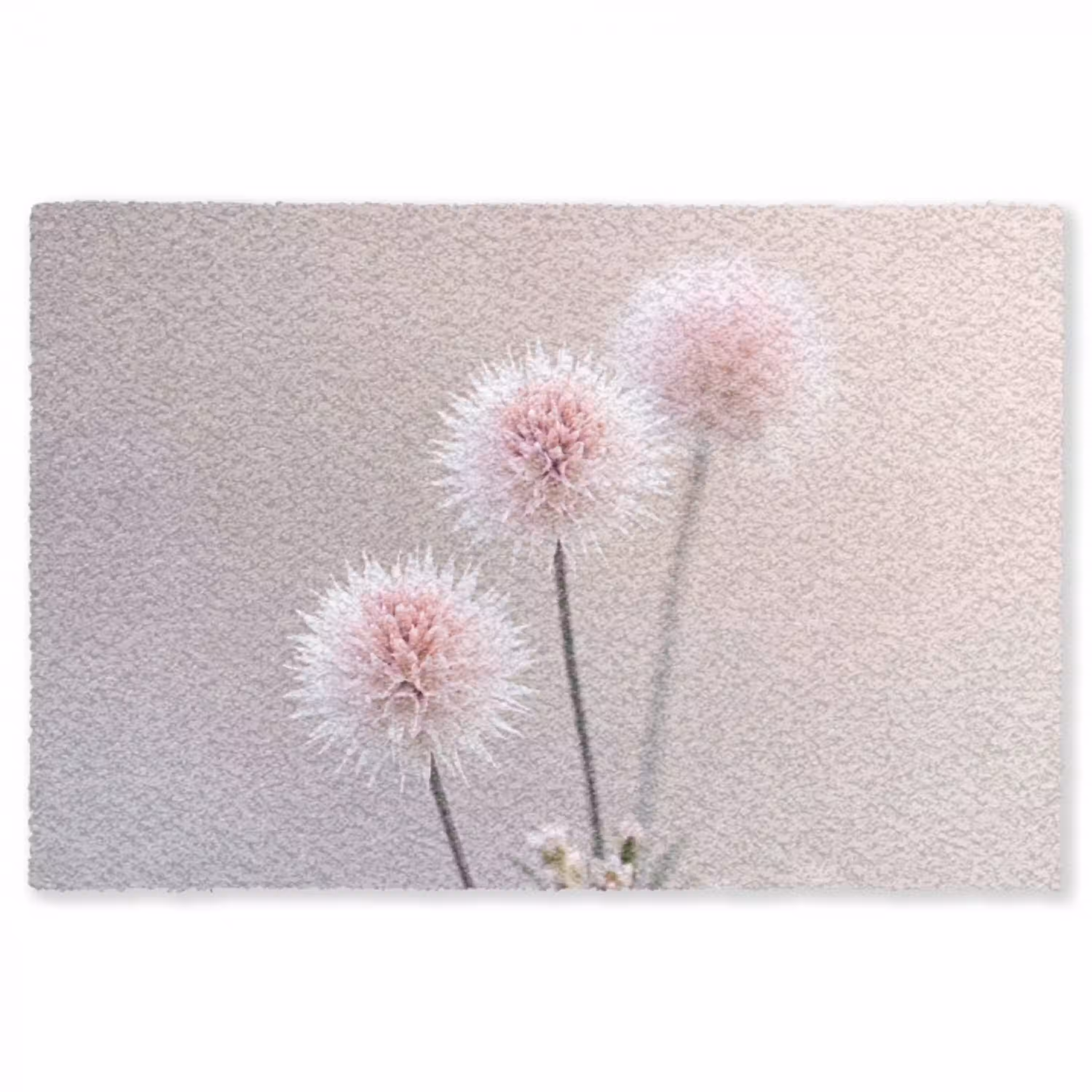 Bloemen - Bollen - Roze Vloerkleed Rechthoek klein -3d