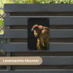 Gier - Roofdier - Vogel tuinposter los doek klein -sfeer3