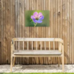 Bloem - Close up - Paars Tuinposter op houten frame 2 cm dik klein -sfeer4