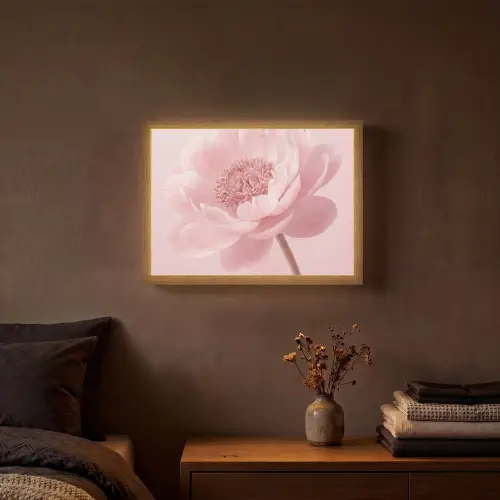 Bloem - Pioenroos - Roze Light Box met batterij (Wandlamp) middel -sfeer4