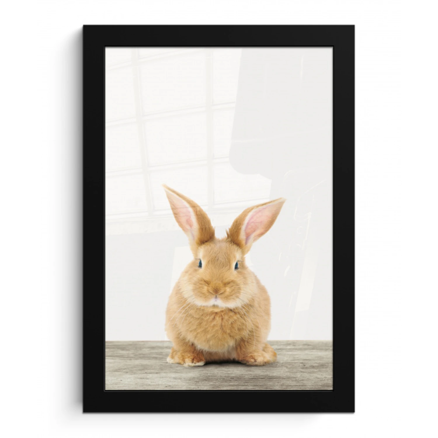 Konijn - Baby konijn - Dieren - Kind - Meisjes - Jongens fotolijst zwart zonder passe partout klein -3d