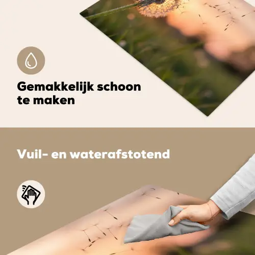 Paardenbloem - Zonsondergang - Veld Inductie beschemer met haakjes klein -ky-schoon-nl