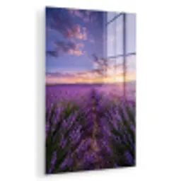 Lavendel - Veld - Natuur - Paars plexiglas 5mm klein -zzzproduct_nieuw