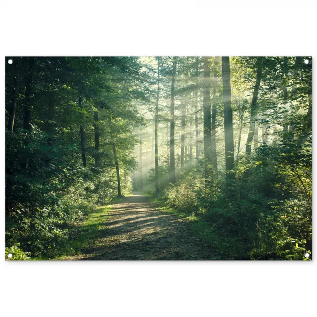 Tuinposter 'doorkijkje naar brug bos' - Teun's Tuinposters