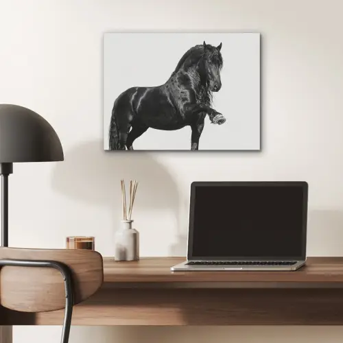 Fries - Hengst - Modern PET vilt klein -sfeer5
