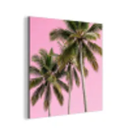 Palmboom - Tropisch - Pink aluminium wit klein -3d